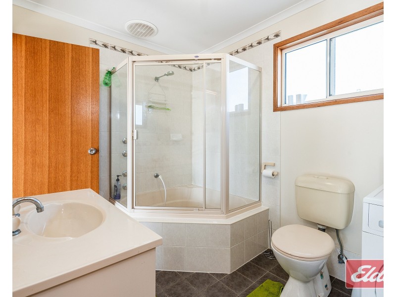 12 Borrow Street, Freeling SA 5372