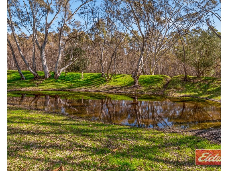 40 Needles Road, Williamstown SA 5351