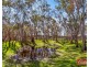 40 Needles Road, Williamstown SA 5351