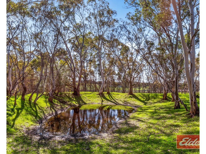 40 Needles Road, Williamstown SA 5351
