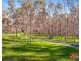 40 Needles Road, Williamstown SA 5351