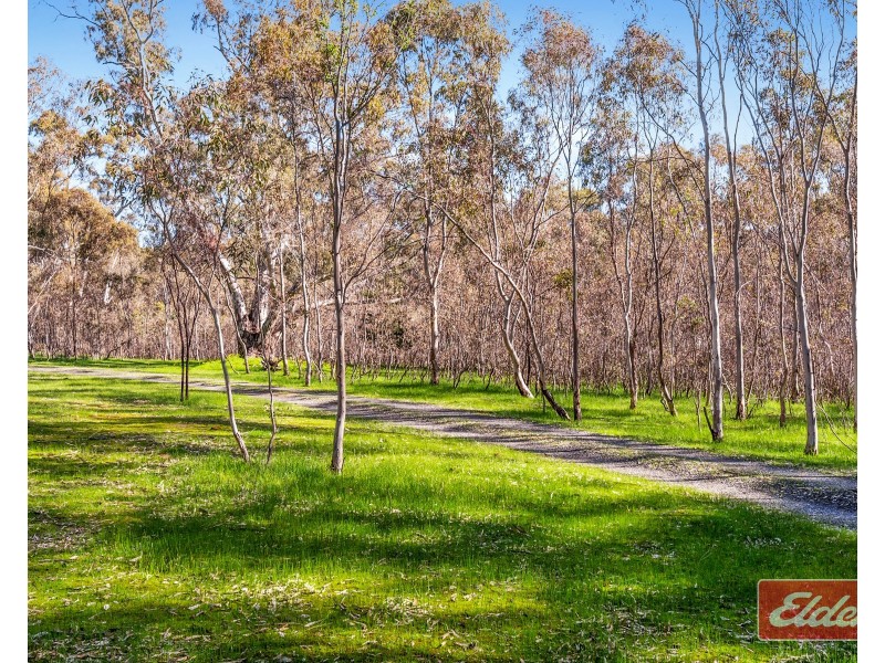 40 Needles Road, Williamstown SA 5351