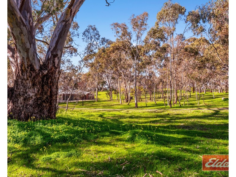 40 Needles Road, Williamstown SA 5351