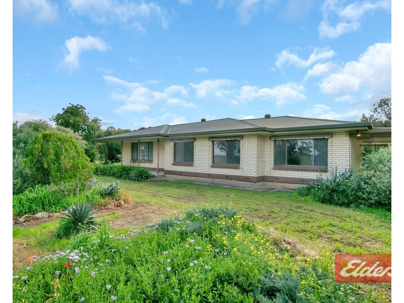 44 Gartrell Street, Roseworthy SA 5371