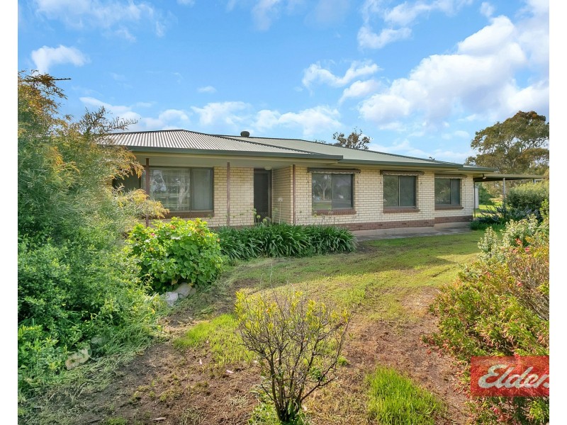 44 Gartrell Street, Roseworthy SA 5371