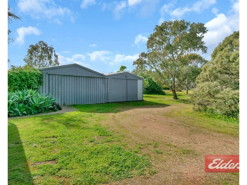 44 Gartrell Street, Roseworthy SA 5371