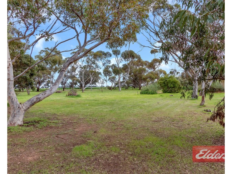 44 Gartrell Street, Roseworthy SA 5371