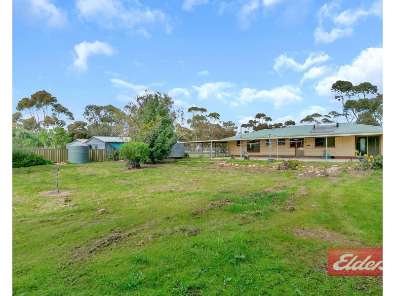 44 Gartrell Street, Roseworthy SA 5371