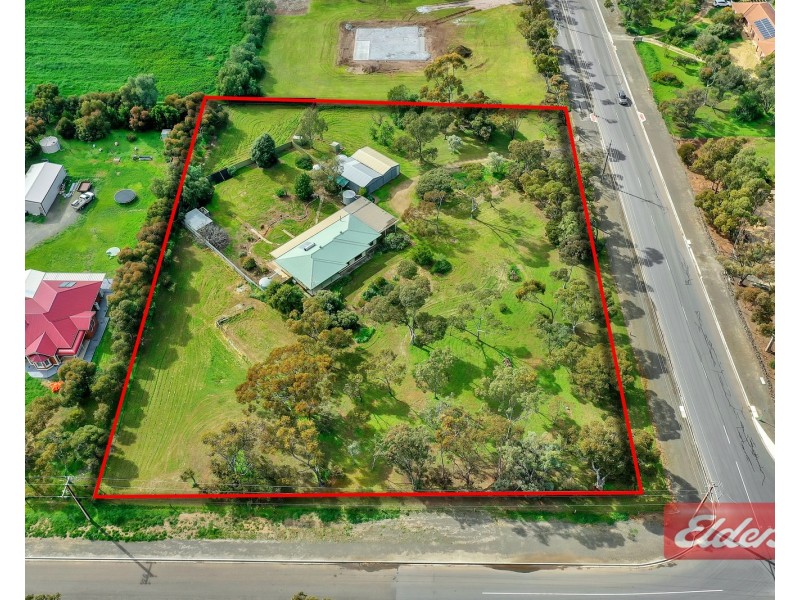 44 Gartrell Street, Roseworthy SA 5371