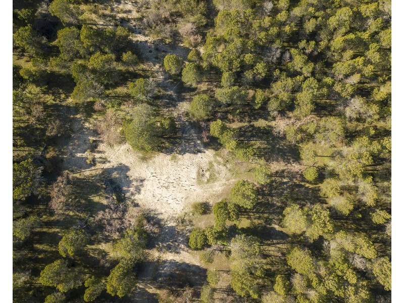 Lot 53 Knott Road, Williamstown SA 5351
