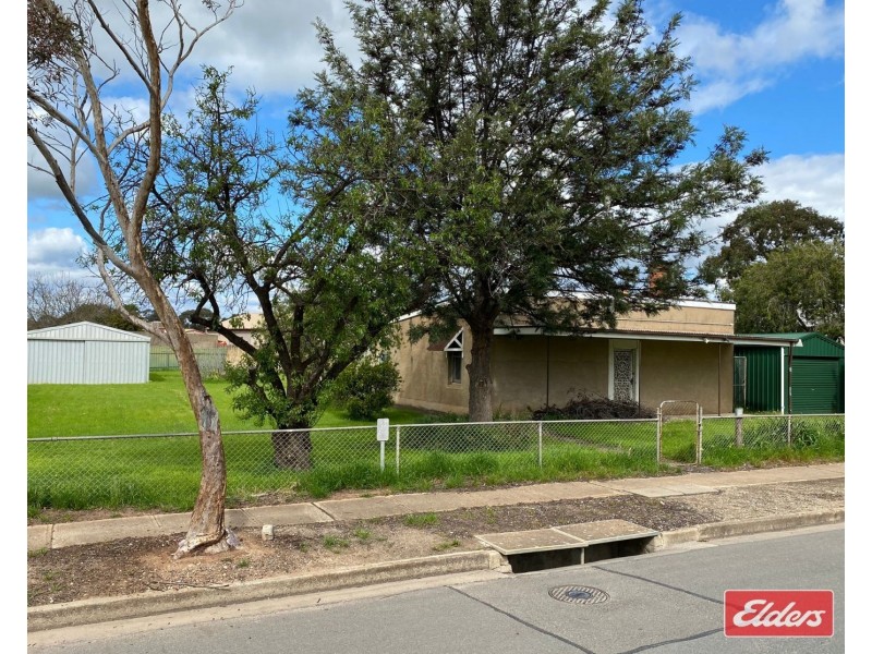 11 Paxton Street, Willaston SA 5118