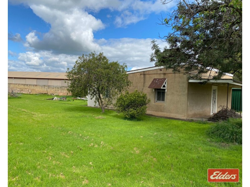 11 Paxton Street, Willaston SA 5118