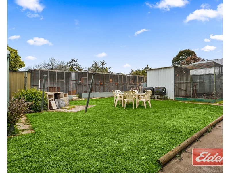 19 Honeysuckle Drive, Hope Valley SA 5090