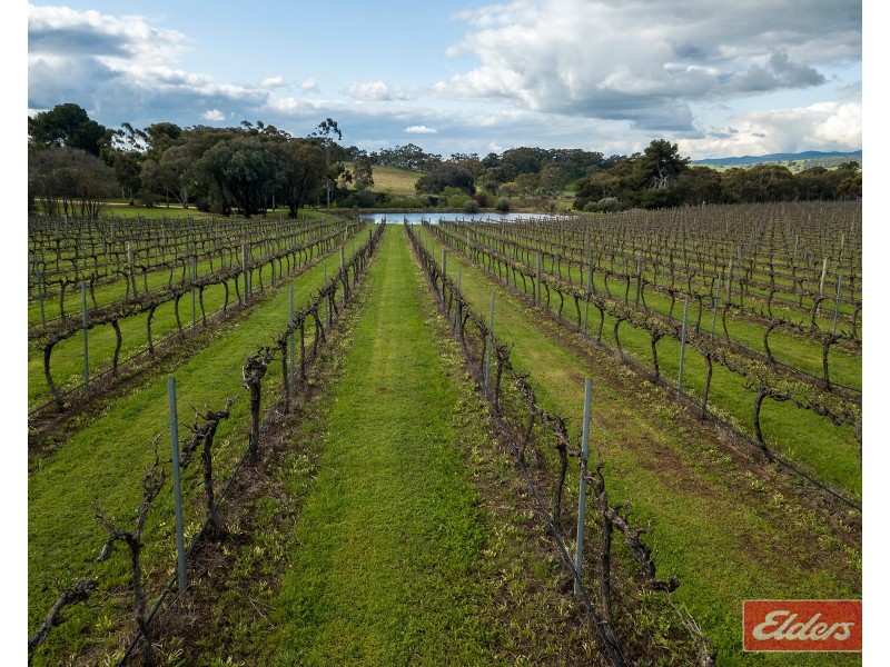 16 Miamba Road, Williamstown SA 5351