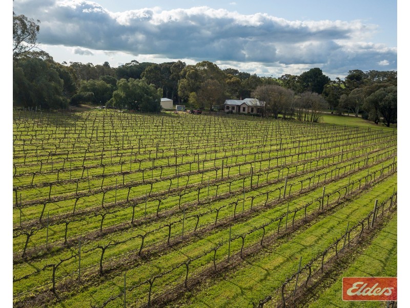 16 Miamba Road, Williamstown SA 5351