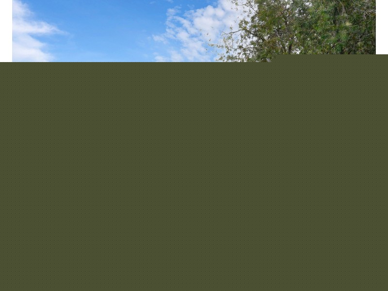 12 Fifth Street, Gawler South SA 5118