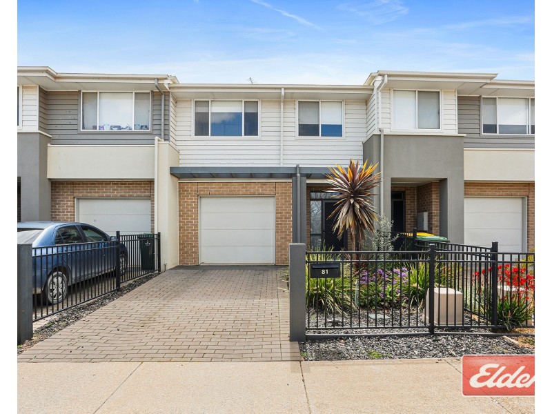 81  Hamilton Boulevard, Evanston Gardens SA 5116