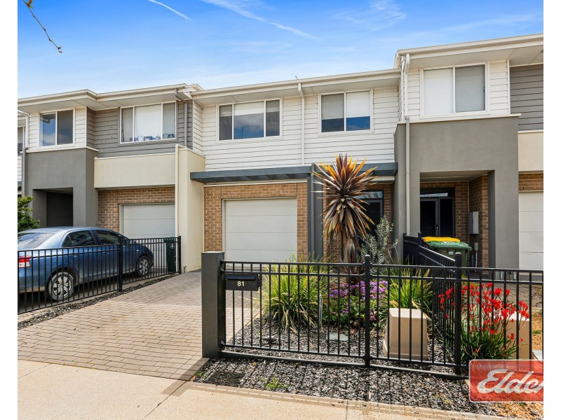 81  Hamilton Boulevard, Evanston Gardens SA 5116