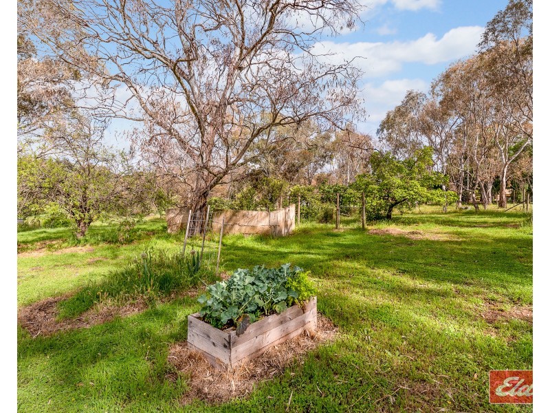 74 Queen Street, Williamstown SA 5351