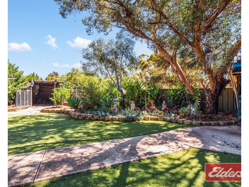 13 Ames Drive, Evanston Park SA 5116