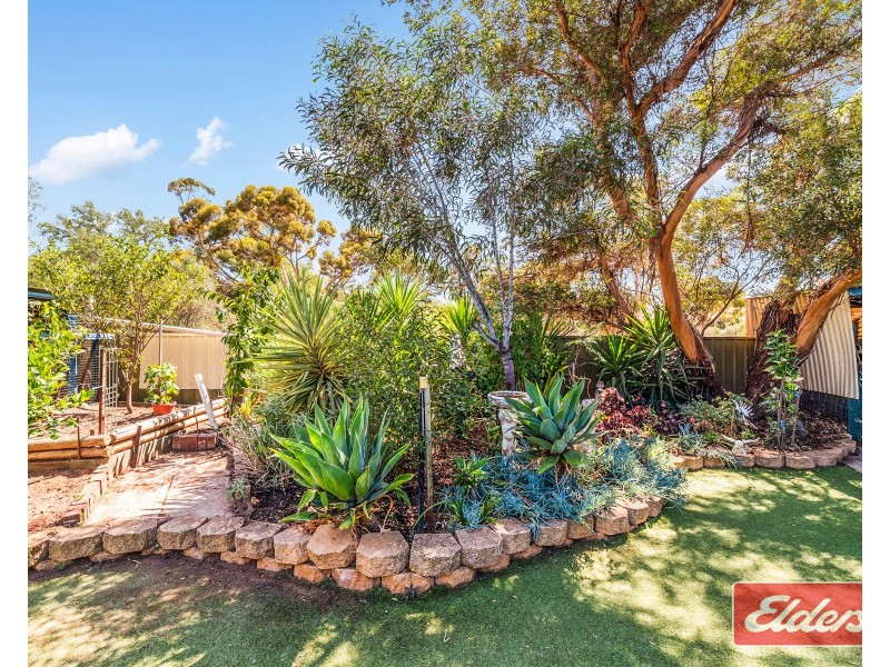 13 Ames Drive, Evanston Park SA 5116