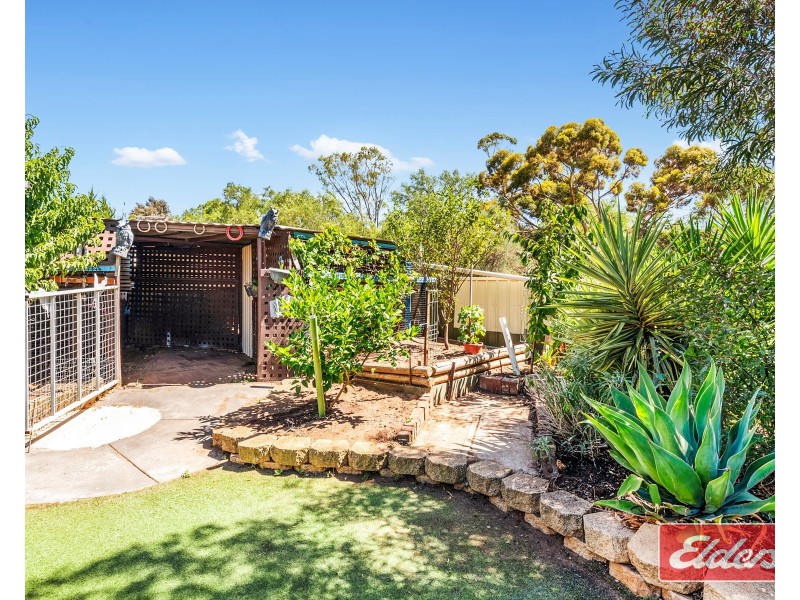 13 Ames Drive, Evanston Park SA 5116