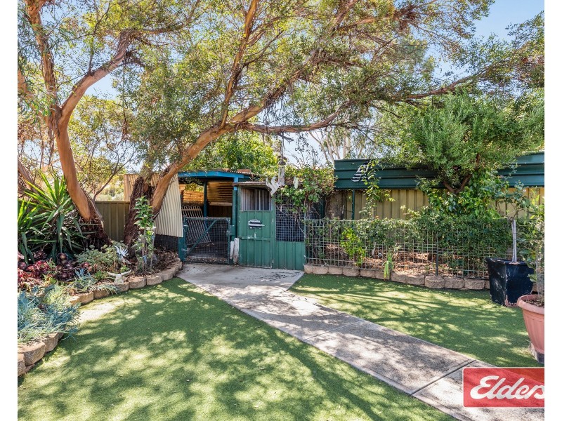 13 Ames Drive, Evanston Park SA 5116