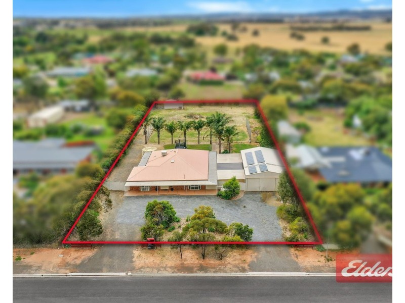 19 Twartz Road, Roseworthy SA 5371