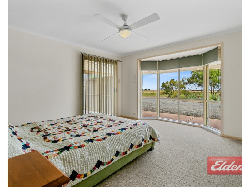 19 Twartz Road, Roseworthy SA 5371