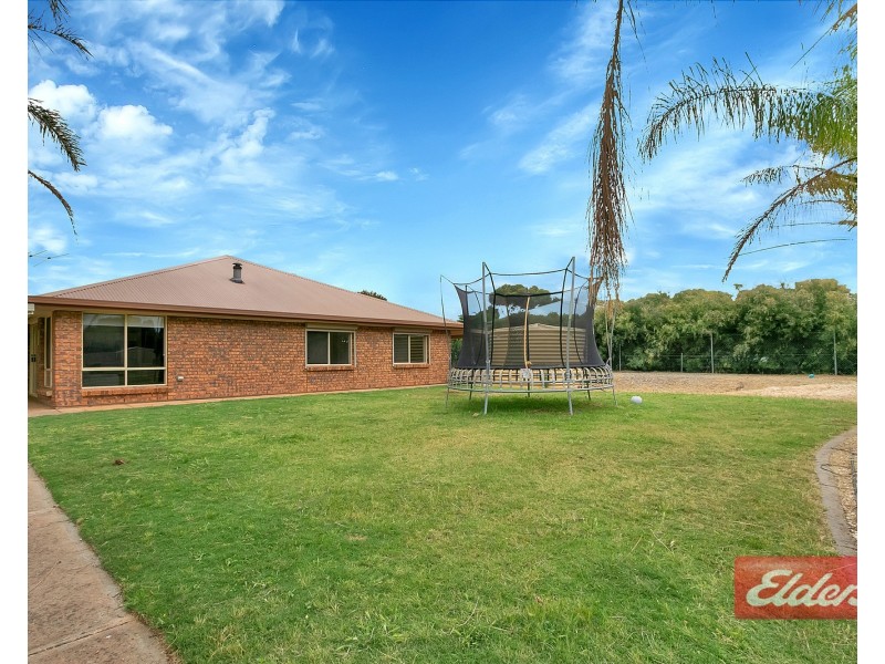 19 Twartz Road, Roseworthy SA 5371