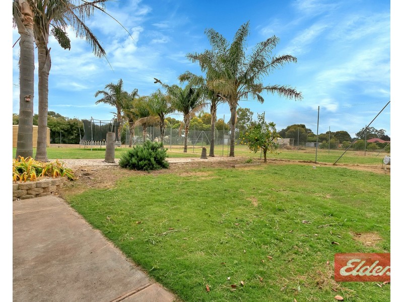 19 Twartz Road, Roseworthy SA 5371