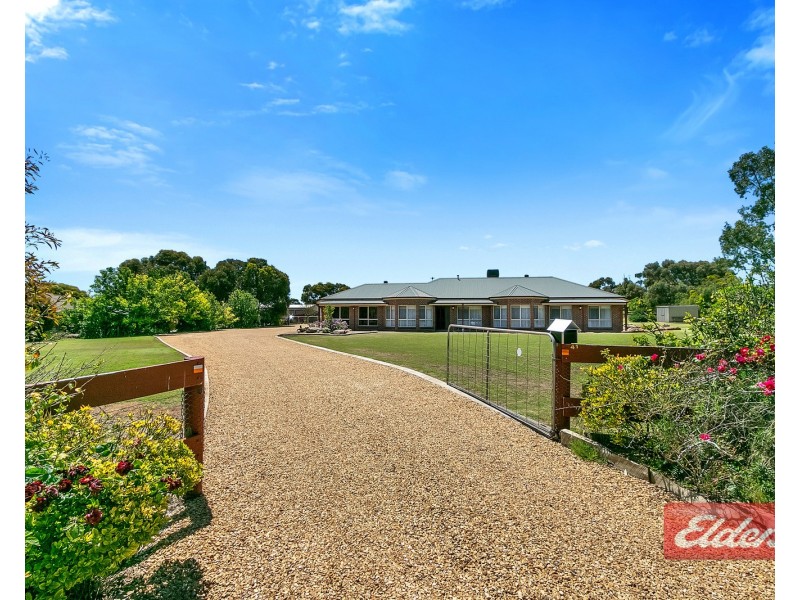 41 Barkley Drive, Gawler Belt SA 5118