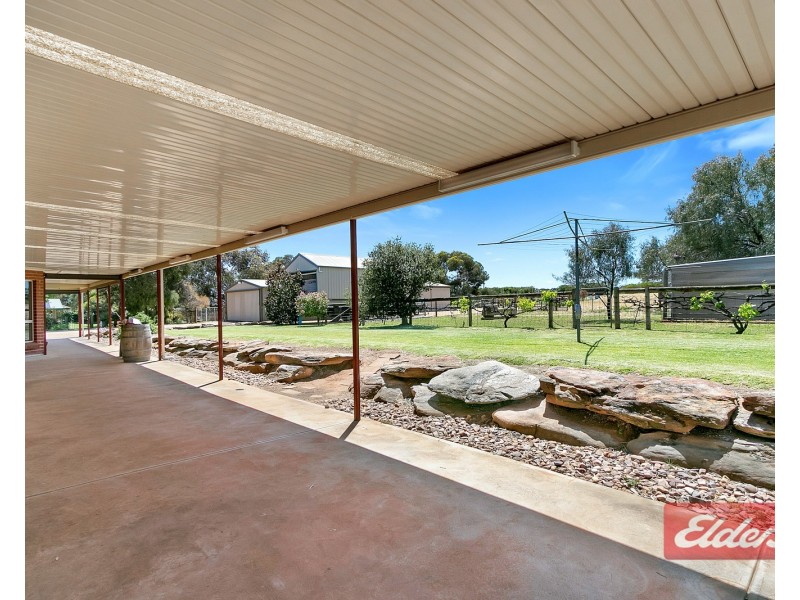 41 Barkley Drive, Gawler Belt SA 5118