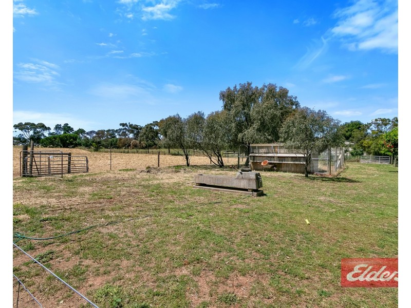 41 Barkley Drive, Gawler Belt SA 5118