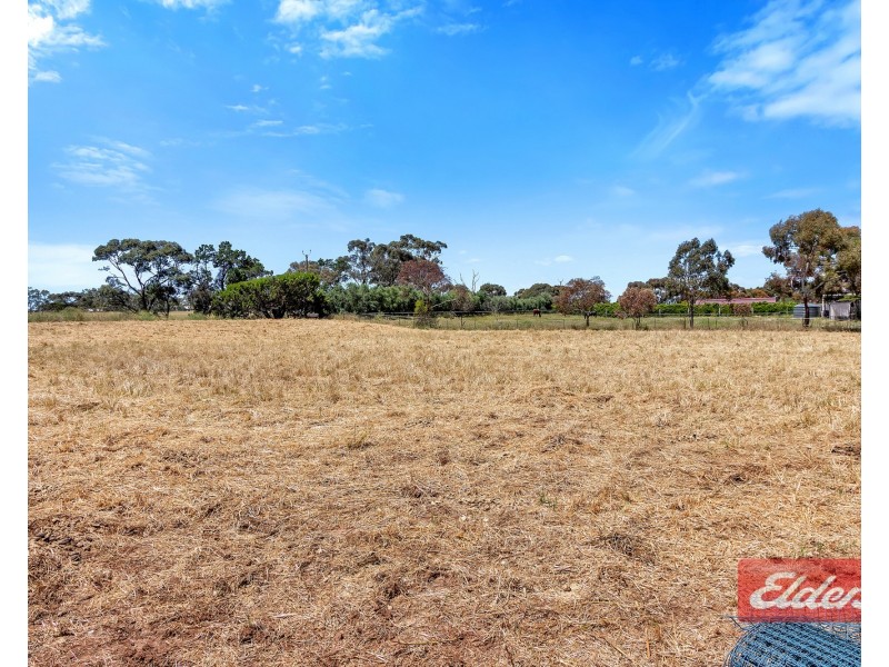41 Barkley Drive, Gawler Belt SA 5118