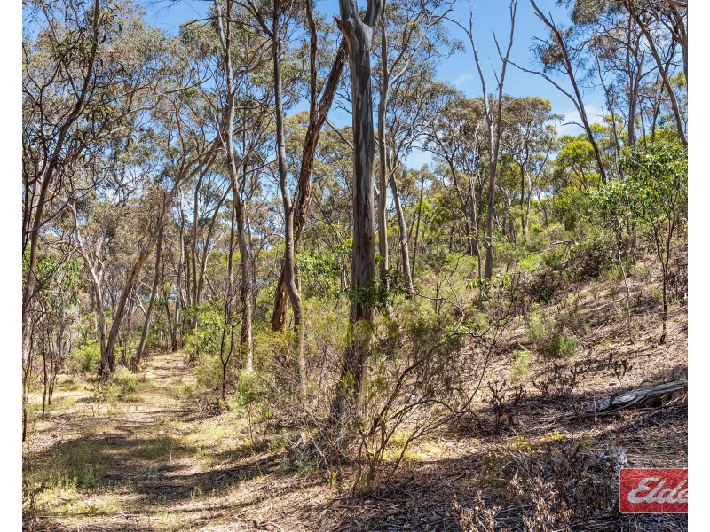 218 Goldfields Road, Barossa Goldfields SA 5351