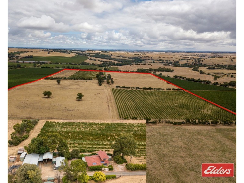 306 Rosedale Road, Rosedale SA 5350