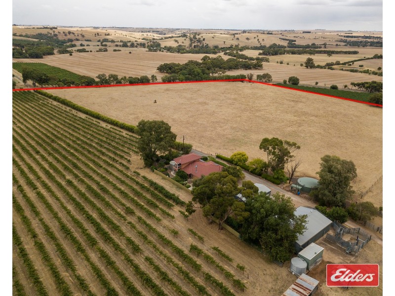 306 Rosedale Road, Rosedale SA 5350