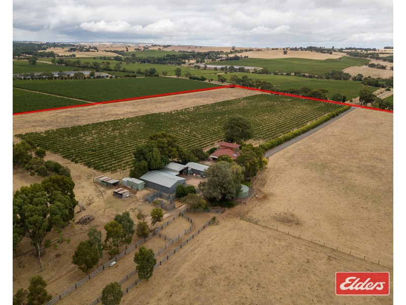 306 Rosedale Road, Rosedale SA 5350