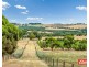 306 Rosedale Road, Rosedale SA 5350