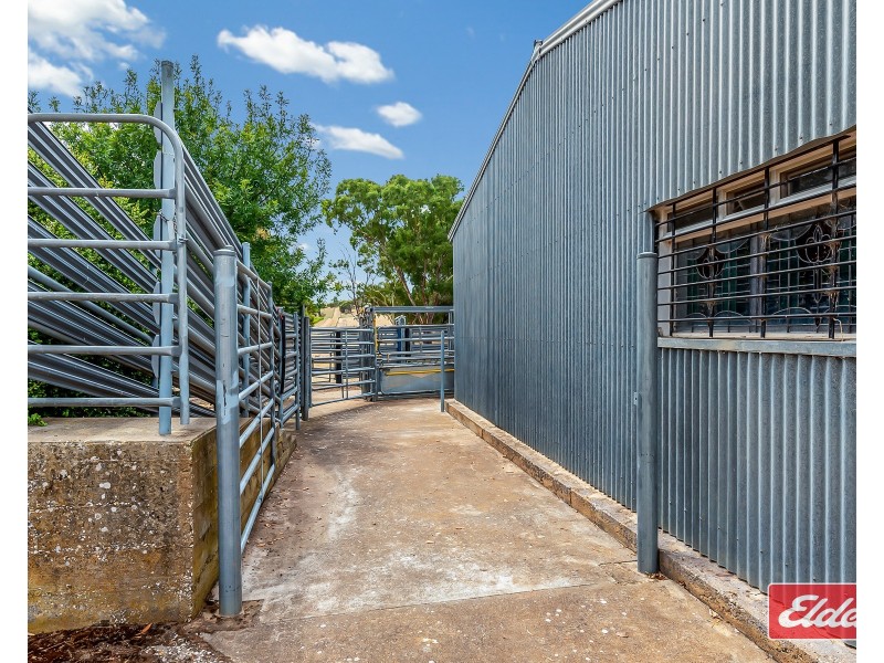 306 Rosedale Road, Rosedale SA 5350