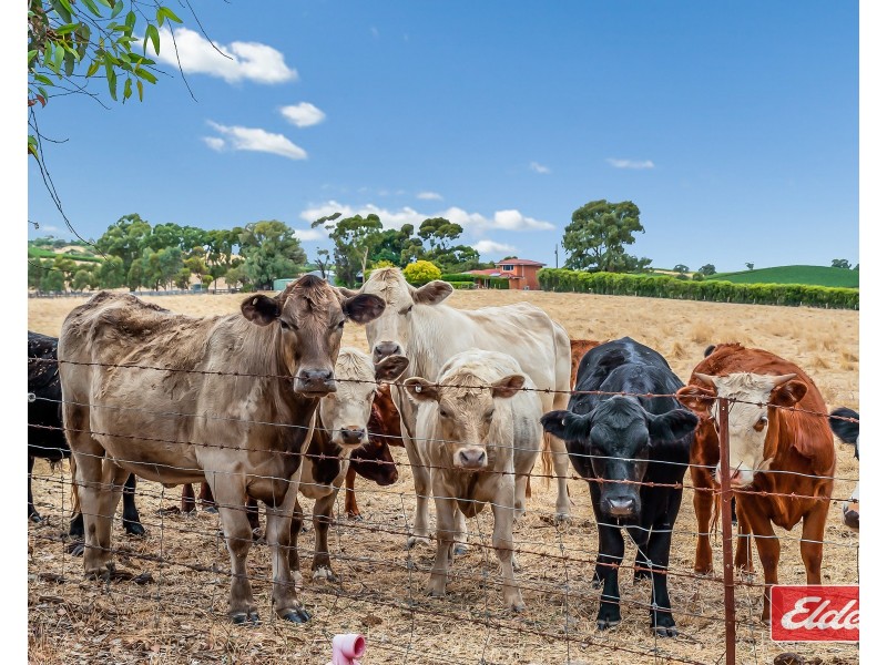 306 Rosedale Road, Rosedale SA 5350