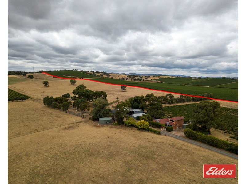 306 Rosedale Road, Rosedale SA 5350