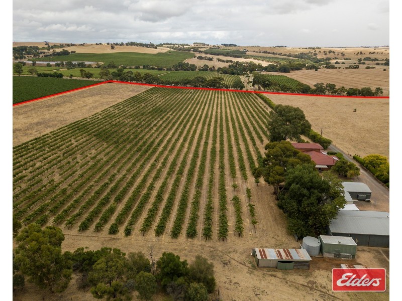 306 Rosedale Road, Rosedale SA 5350