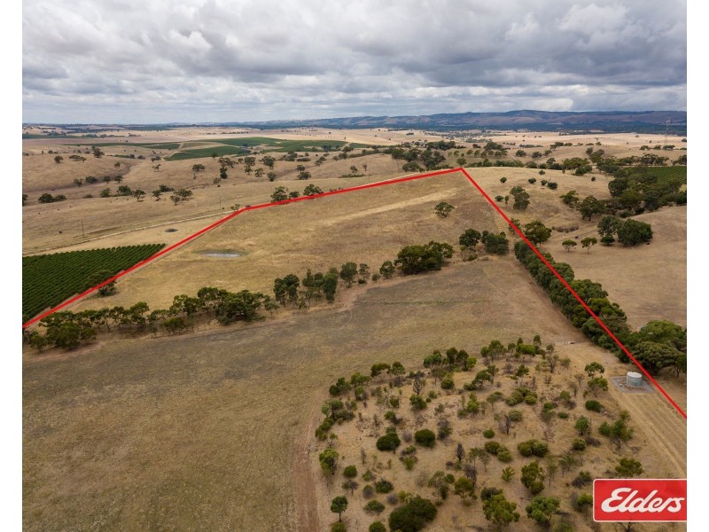306 Rosedale Road, Rosedale SA 5350
