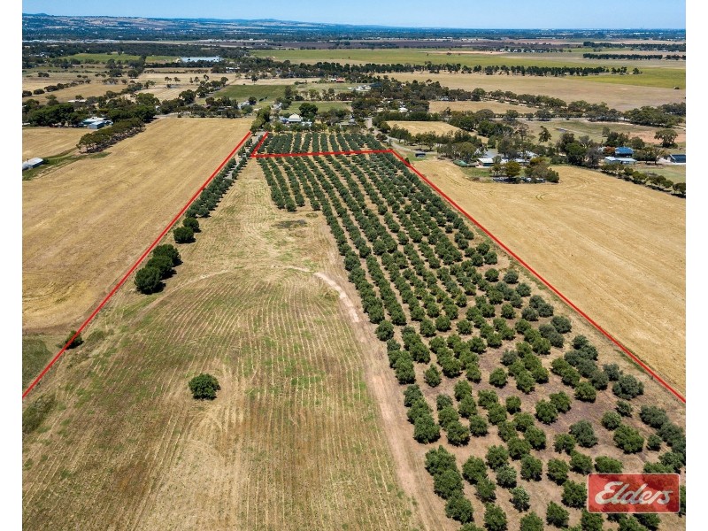 Lot 32 (216) Parkers Road, Gawler Belt SA 5118