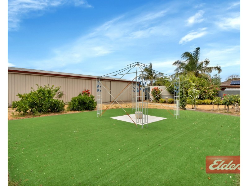 24 Shamrock Way, Roseworthy SA 5371