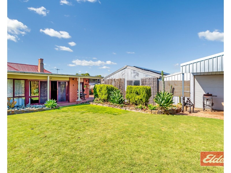 56 Jane Street, Willaston SA 5118
