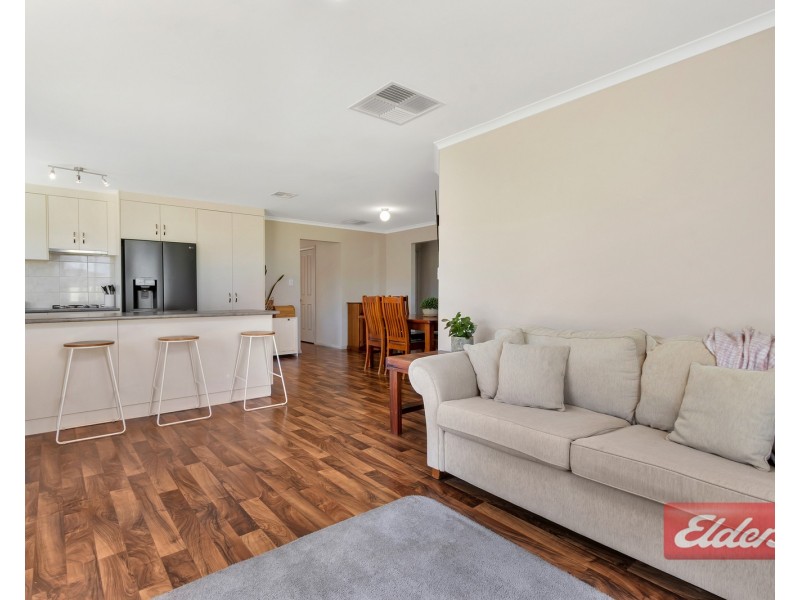 14 Roche Street, Freeling SA 5372