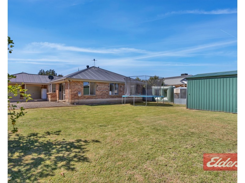 14 Roche Street, Freeling SA 5372
